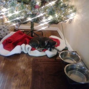 Meet your Posher, Debbie